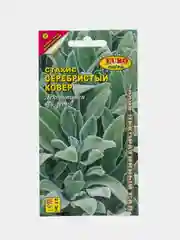 Стахис Серебристый ковер, семена, цветы