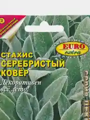 Стахис Серебристый ковер, семена, цветы
