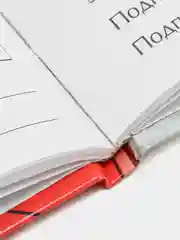 Дневник для 1-11 класса, в твёрдой обложке, 40 л, "Человек-паук"