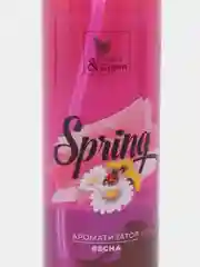 Ароматизатор воздуха "Весна" (триггер) 250 мл, Clean&Green