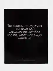 Бежевый меланж тетрадь предметная "На черном", 48 листов