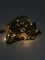 Гирлянда новогодняя с листьями , 2-3 метра,  20-30 led ламп