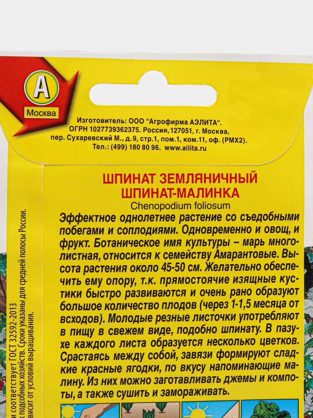 Шпинат земляничный Шпинат-малинка (семена)