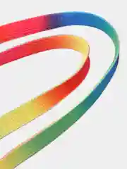 Разноцветный шнурки для обуви