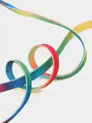 Разноцветный шнурки для обуви