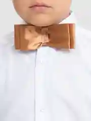 Белый бабочка