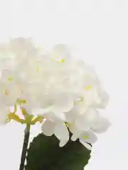 Лавандовый искусственные цветы, гортензия