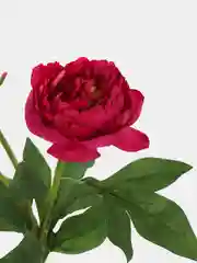 Фуксия пионы искусственные цветы большая ветка 3 бутона, пион искусственный