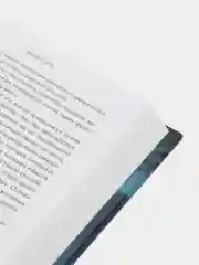 Блуждающая Земля, Лю Цысинь