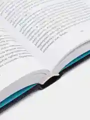 Блуждающая Земля, Лю Цысинь