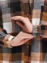 Коричневый женская рубашка в клетку Zarka