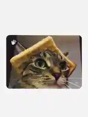 Настольные игры что за мем необычный подарок memeclub для большой компании, взрослым, дети