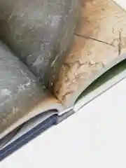 Сыр своими руками. Практическое пошаговое руководство, Пол Томас