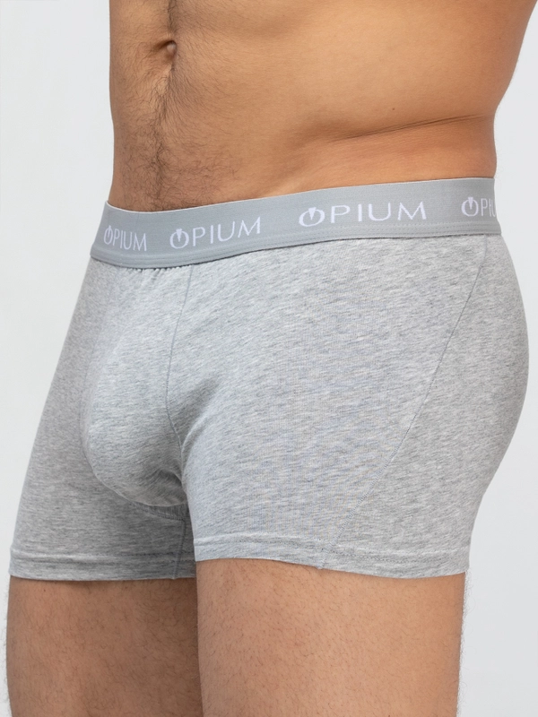 Трусы мужские боксеры OPIUM