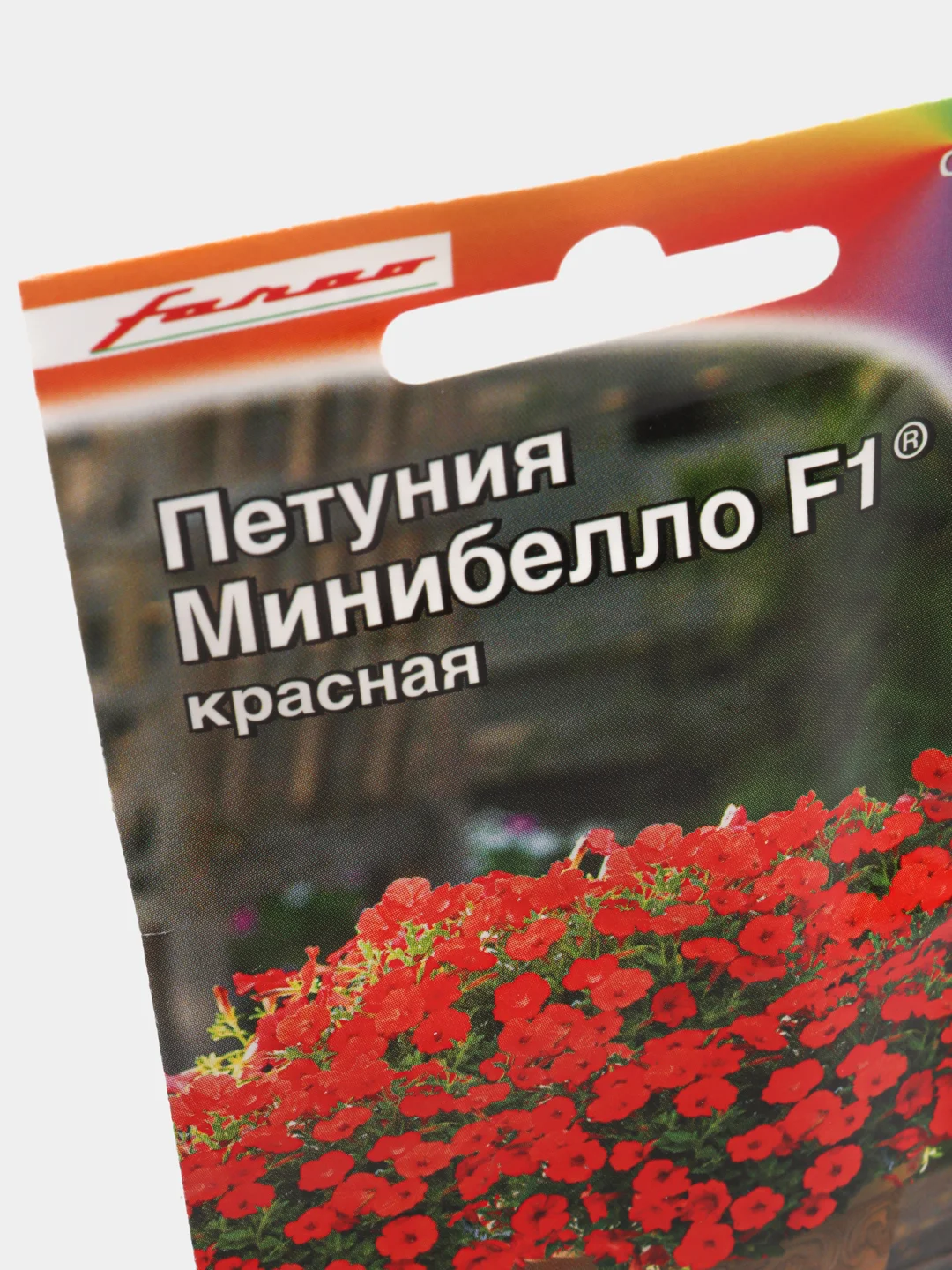Петуния Минибелло красная (семена, цветы)