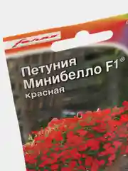Петуния Минибелло красная (семена, цветы)