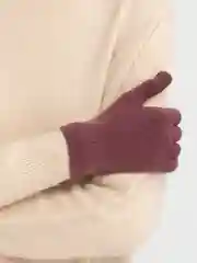 Коричневый перчатки женские, с начесом