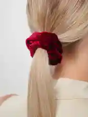 Бордовый резинка для волос, бархатная
