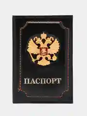 Обложка на паспорт женская/мужская кожаная, чехол на паспорт, Brauberg, 238201
