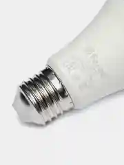 Лампа светодиодная для растений, А60 (15W) 230V E27, красно-синий спектр LB-7061