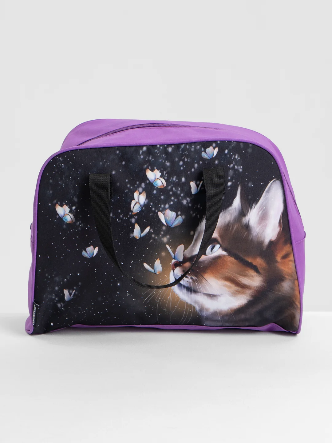 Сумка детская для ребенка для внешкольных занятий Brauberg с ручками, Dream cat, 271592