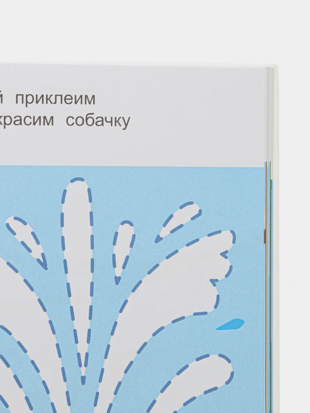 Развиваем внимание и память