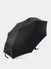Черный зонт, зонтик женский