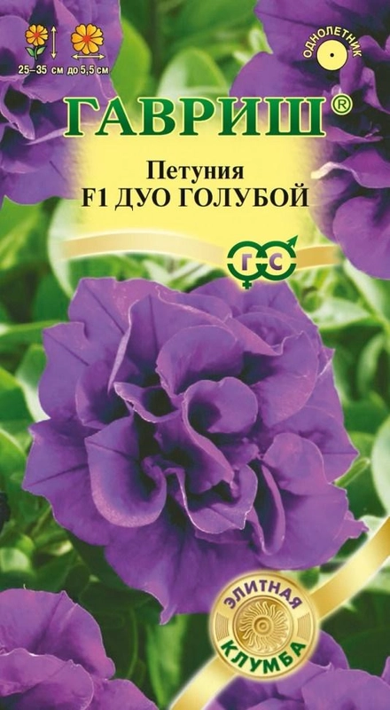 Петуния "Дуо голубой F1" (семена, цветы)