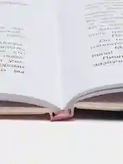 Анна Павлова. Личный дневник. Первый триумф, Бо Сандрин
