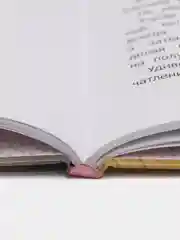 Анна Павлова. Личный дневник. Трудное искусство балета, Бо Сандрин
