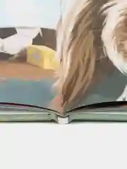 Большие приключения маленькой пылинки, Александровская Н.