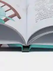 Енотик борется со страхом, Зартайская И.