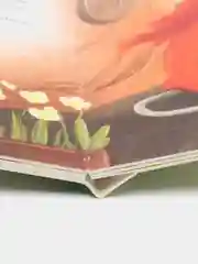 Решающий матч, Хворост А.