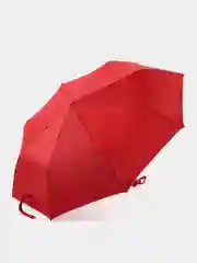 Голубой зонт, зонтик женский