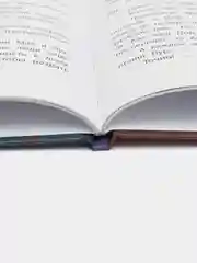 Бюро потерянных чувств, Ильина В.
