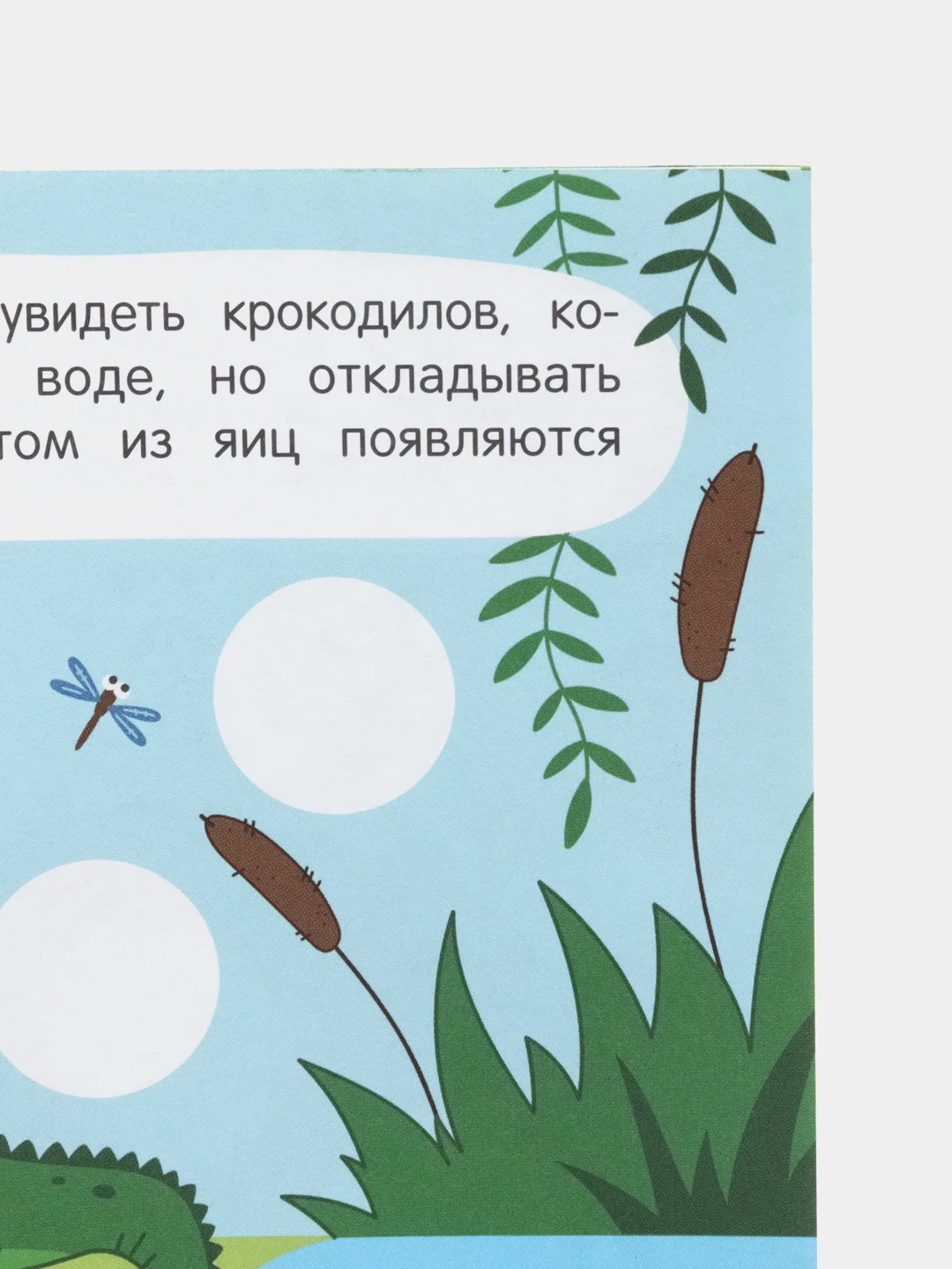 Жаркие страны: книжка с наклейками (96 наклеек)