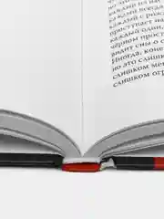 Красная ягода. Черная земля. Сборник стихов, Долгарева А.П.