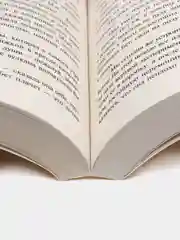 Маленькие женщины (новый перевод), Олкотт Л.М.
