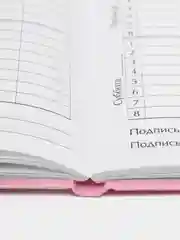 Фуксия школьный дневник для 1-4 классов, твердая ламинация