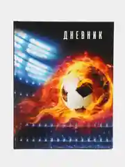 Черный школьный дневник для 5-11 классов, твердая ламинация