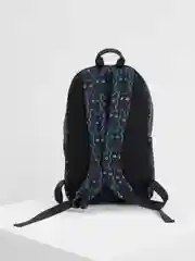 Рюкзак ранец портфель школьный, подростковый для девочки Brauberg, 2 отделения, 270771