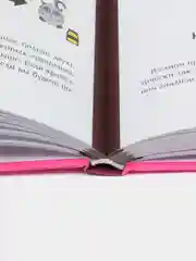 Статистика и котики, Савельев В.