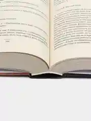 До самого рая, Ханья Янагихара