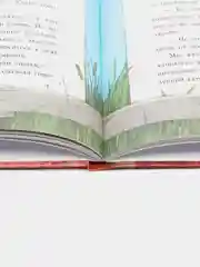 Манюня, Абгарян Н.