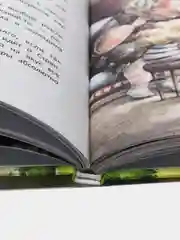 Анна из Странной страны, Никольская А.