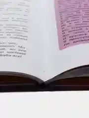 Энциклопедия нехорошего поведения, Ульева Е.