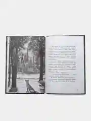 Бегущие по кромке леса, Русинова Е.