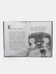 Долгая дорога домой, Русинова Е.