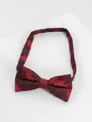 Конфетный галстук-бабочка
