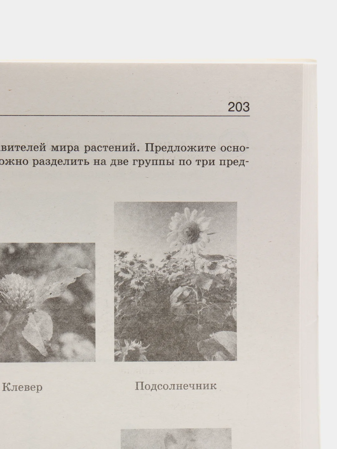 Большой сборник тренировочных вариантов проверочных работ для подготовки к ВПР. 7 класс